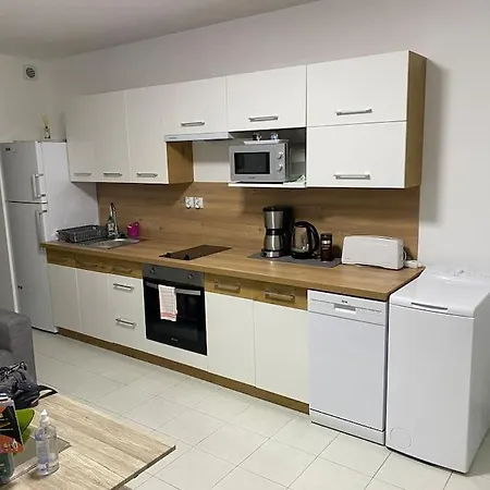 Coeur De Apartment *