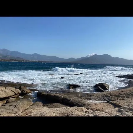 Coeur De Apartment *