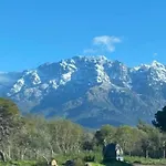 Apartment Coeur De Calvi (Corsica)