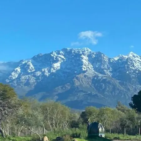 Lägenhet Coeur De Calvi (Corsica)