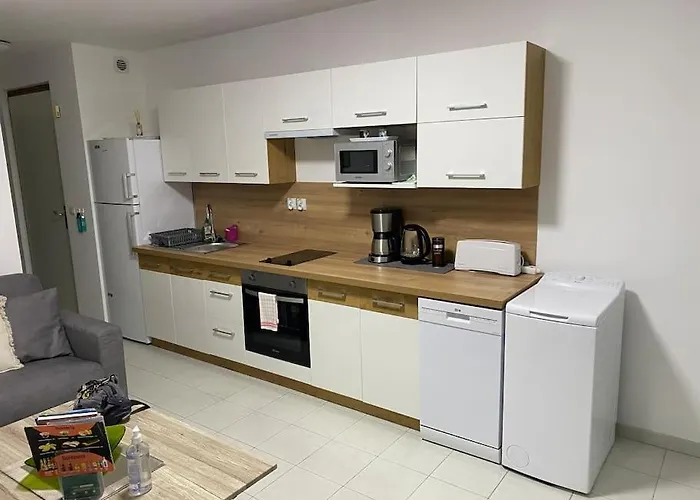 Coeur De Apartment *